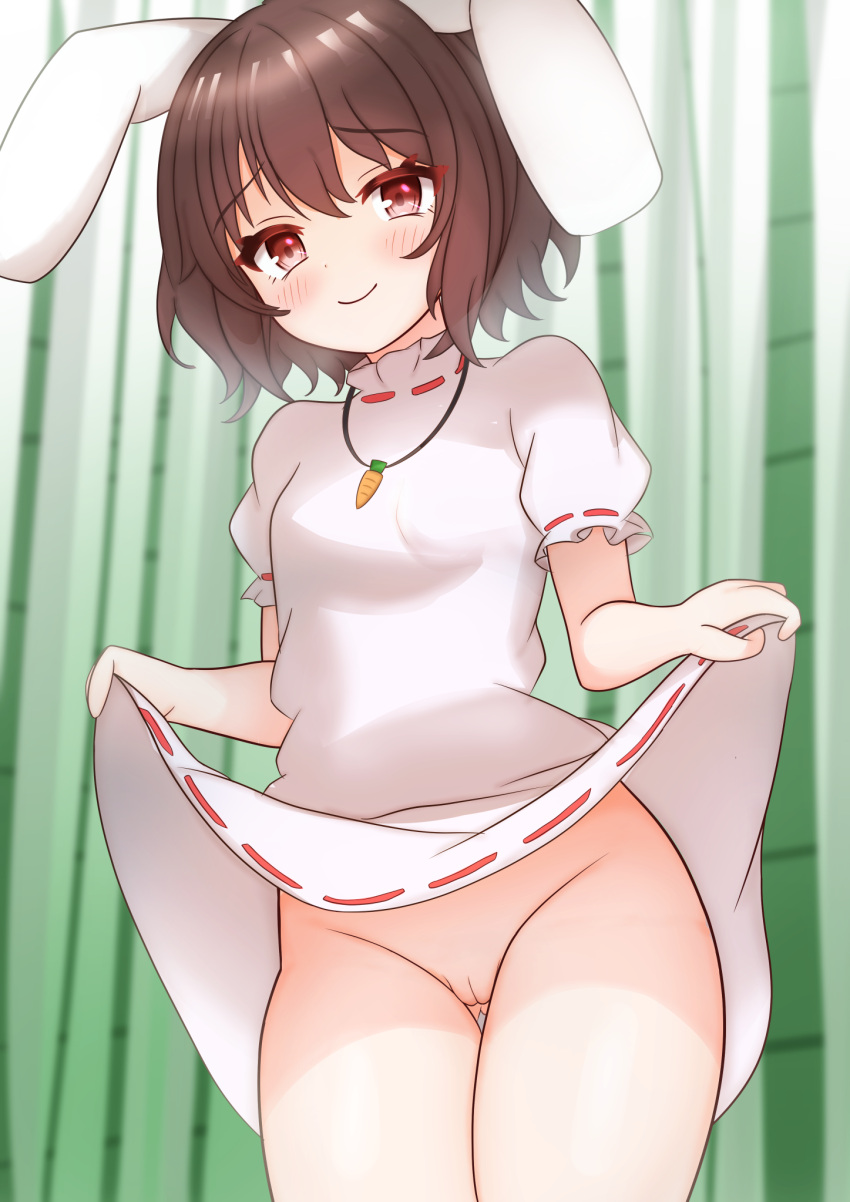 1girl animal_ears ass_visible_through_thighs bamboo bamboo_forest blush brown_hair carrot_necklace closed_mouth clothes_lift colored_eyelashes commentary cowboy_shot dress dress_lift floppy_ears forest groin highres inaba_tewi jewelry kasoka_soka looking_at_viewer nature necklace no_panties pink_dress puffy_short_sleeves puffy_sleeves pussy rabbit_ears rabbit_girl red_eyes ribbon-trimmed_dress short_hair short_sleeves skirt skirt_lift smile solo standing touhou uncensored