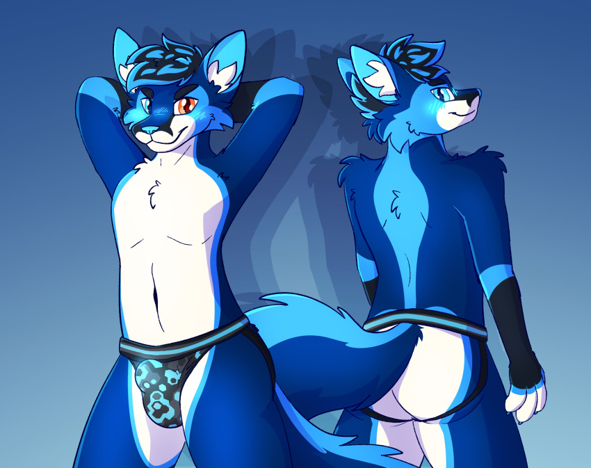 anthro blue_blush blue_body blue_eyes blue_fur blue_nose blush canid canine clothed clothing fox fur heterochromia hi_res jockstrap looking_at_viewer looking_back male mammal orange_eyes pinup pose solo spicyteggy teg underwear