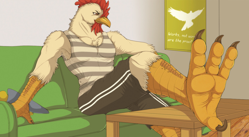 4_toes anthro avian avian_feet beak bird bottomwear chicken claws clothed clothing english_text feathers feet foot_fetish foot_focus furniture galliform gallus_(genus) inside male nails phasianid poster shirt shorts sitting smug sofa soles solo table talons tan_(artist) text toes topwear white_body white_feathers