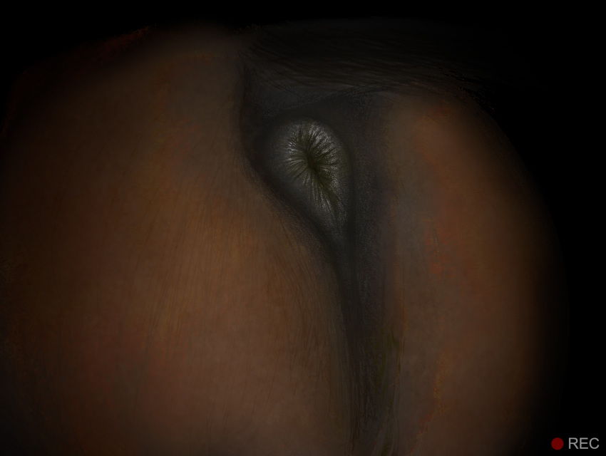 anatomically_correct anatomically_correct_anus anus black_anus brown_body brown_fur butt butt_shot darkmare dirty_anus equid equine equine_anus feces feral fur hi_res horse male mammal night puffy_anus recording solo