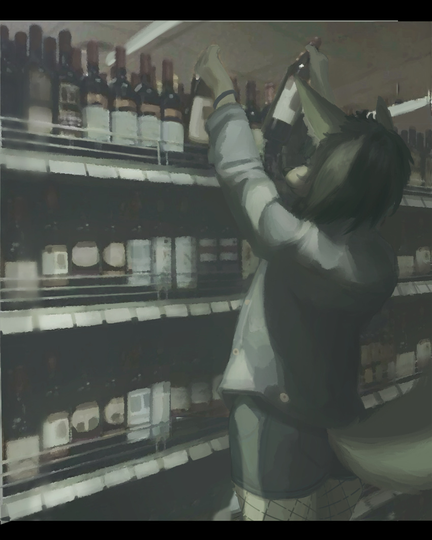 alcohol anthro beverage canid canine elseirius fox hi_res male mall mammal marble_fox photo_manipulation platinum_fox red_fox seirsinclair solo wine wine_bottle