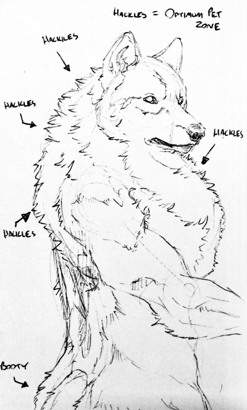 anthro butt canid canine canis fur hi_res lupesilverwind male mammal paper pen_and_ink raised_hackles solo text were werecanid werecanine werewolf wolf