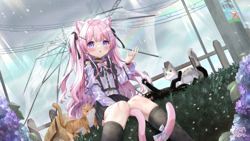 1girl :o ahoge animal animal_ear_fluff animal_ears bare_shoulders black_bow black_cat black_skirt blue_flower blue_hair blush bow box cardboard_box cat cat_ears cat_girl cat_tail center_frills commentary_request earrings flower frills glint grey_bow grey_socks hair_ornament hairclip heart heart_earrings highres hydrangea jewelry knees_together_feet_apart long_hair long_sleeves multicolored_hair original outdoors parted_lips pink_bow pink_hair pleated_skirt pole purple_eyes purple_flower rabbit_hair_ornament see-through shirt siera_(sieracitrus) skirt socks solo streaked_hair tail tail_bow tail_ornament transparent transparent_umbrella two_side_up umbrella utility_pole very_long_hair wet wet_clothes wet_shirt white_shirt x_hair_ornament