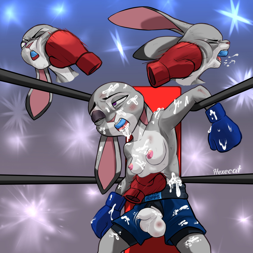 absurd_res anthro balls big_balls bodily_fluids boxer_briefs boxing_gloves clothed clothing cum cum_on_body cum_on_face disney female fighting_ring foreskin genital_fluids genitals gynomorph handwear hexecat hi_res intersex judy_hopps lagomorph leporid mammal penis punching_bag rabbit size_difference small_penis smaller_female solo tired topless underwear zootopia