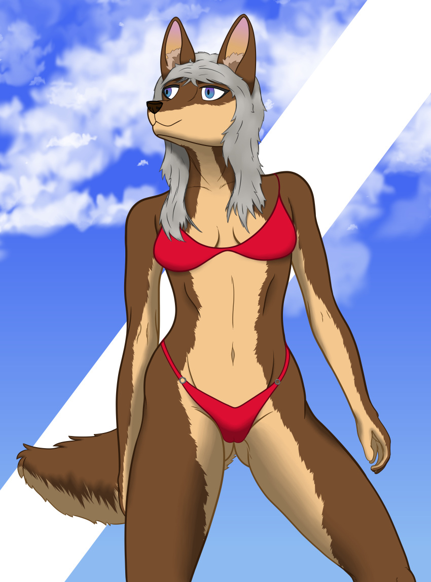 2023 absurd_res anthro bikini bikini_bottom bikini_top blue_eyes blue_sky brown_body brown_fur brown_nose camel_toe canid canine canis clothed clothing cloudscape digital_media_(artwork) domestic_dog female fur grey_hair hair hi_res inner_ear_fluff long_hair looking_away mammal multicolored_body multicolored_fur outside phoxst pinup portrait pose red_bikini red_clothing red_swimwear silver_hair skimpy sky solo solo_focus swimwear tail tan_body tan_fur three-quarter_portrait tuft two_tone_body two_tone_fur