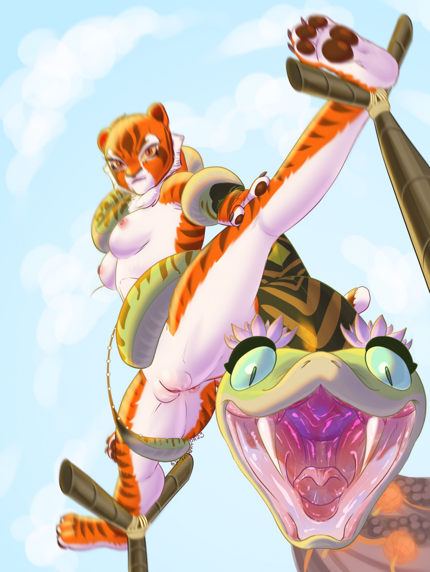 anthro anus areola big_butt breasts brown_stripes butt dreamworks duo eyelashes fangs felid female flexible fur genitals green_body green_scales green_sclera hi_res kung_fu_panda looking_at_viewer mammal master_tigress master_viper neck_tuft nipples nude open_mouth orange_body orange_eyes orange_fur pantherine pawpads pink_areola pink_nipples pupils pussy reptile samyrai scales scalie slit_pupils snake splits spread_legs spreading stripes teeth thick_thighs tiger tuft viper white_body white_fur wide_hips yellow_sclera