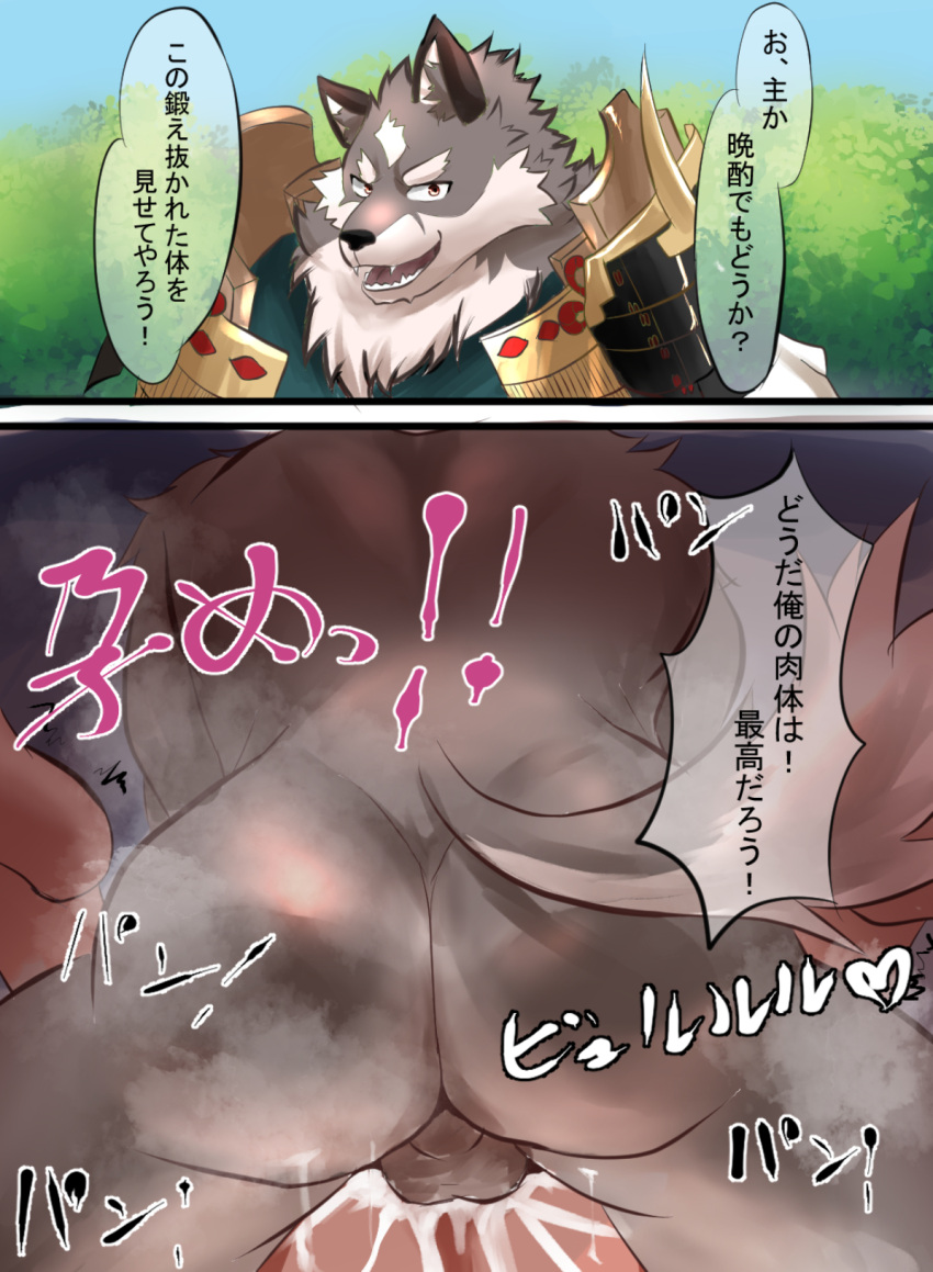 2_panel_comic anal anal_penetration anthro anthro_penetrating anthro_penetrating_human armor back_muscles balls bodily_fluids brown_body brown_fur butt canid canine canis cum cum_in_ass cum_inside dialogue duo ejaculation fangs from_front_position fur genital_fluids genitals hi_res human human_on_anthro human_penetrated humukeaka1 interspecies japanese_text looking_at_viewer male male/male male_penetrated male_penetrating male_penetrating_male mammal marbles_(pixiv) mating_press multicolored_body multicolored_fur muscular muscular_anthro muscular_male musk open_mouth penetration penile penile_penetration penis penis_in_ass sex size_difference smaller_human smaller_male smaller_penetrated talking_to_viewer tamacolle teeth text tosa_(tamacolle) white_body white_fur wolf