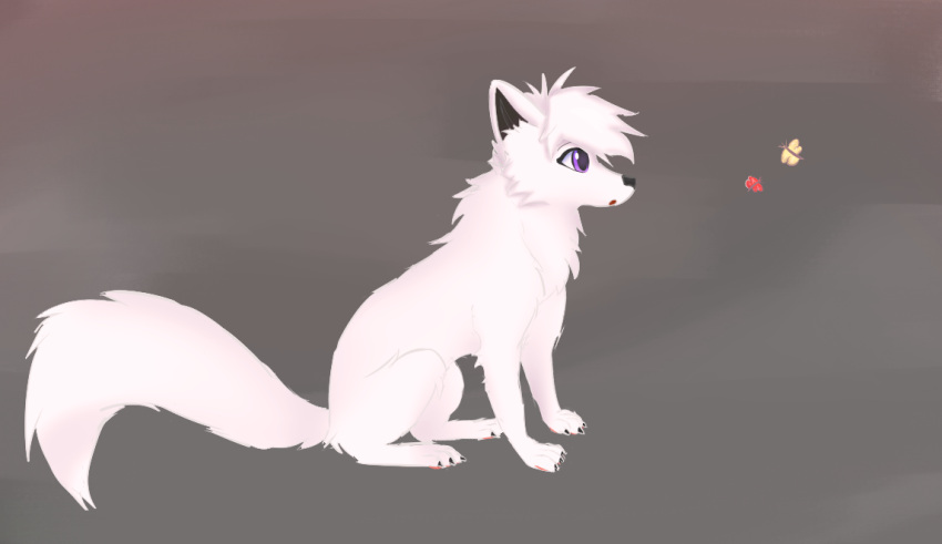 arthropod butterfly canid canine canis claws fan_character female feral fluffy fluffy_tail freya_(joeumbre) fur hair insect joeumbre lepidopteran mammal pawpads paws purple_eyes sitting solo tail white_body white_fur white_hair wolf