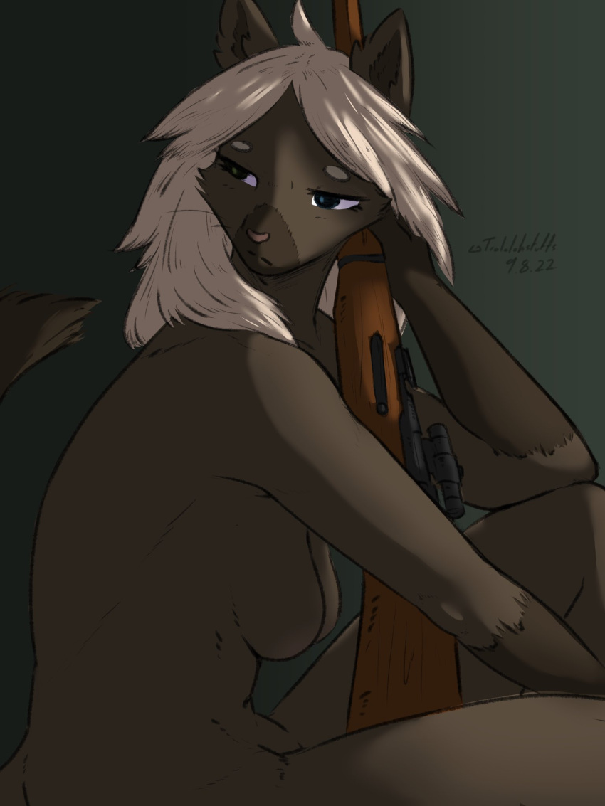 2022 anthro breasts brown_body brown_fur digital_media_(artwork) domestic_cat felid feline felis female fur gun hair hi_res holding_gun holding_object holding_rifle holding_weapon itsspoopsb looking_aside mammal nude ranged_weapon simple_background sitting solo trololohstuffs weapon white_hair