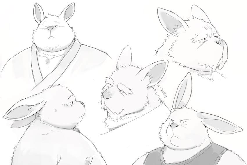 2023 absurd_res anthro clothing hi_res huynhduyad14 kemono lagomorph leporid male mammal moobs nipples overweight overweight_male rabbit shirt solo topwear