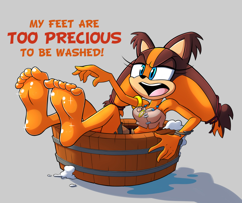 absurd_res anthro badger barefoot feet female foot_focus hi_res humanoid_feet mammal mustelid musteline plantigrade sega soles solo sonic_boom sonic_the_hedgehog_(series) sticks_the_jungle_badger toes wigmania