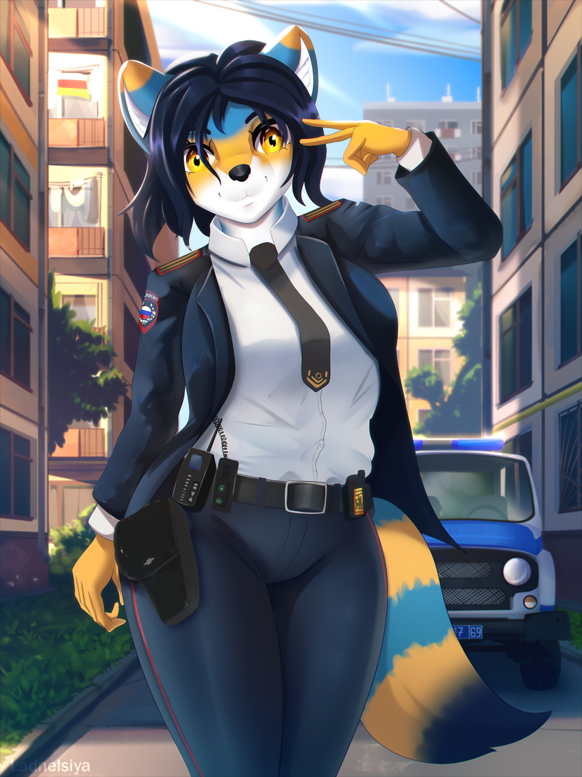 2023 5_fingers anthro belt bottomwear city clothing cloud detailed digital_media_(artwork) favora_kravchuk fingers fur hi_res holster ladnelsiya mammal multicolored_body multicolored_fur multicolored_tail pants police_officer police_uniform procyonid raccoon sky street tail uniform walkie-talkie