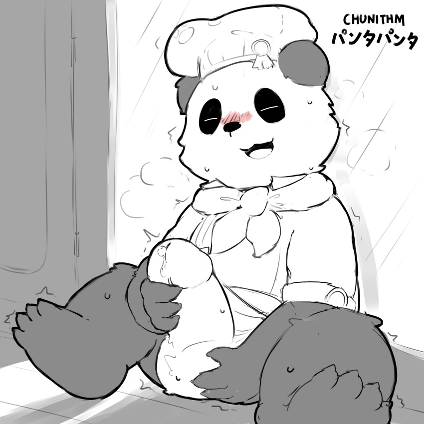 2023 anthro balls bear chef_hat chunithm clothing erection genitals giant_panda hat headgear headwear hi_res japanese_text kemono male mammal masturbation penis sande_(pixiv) sitting solo text