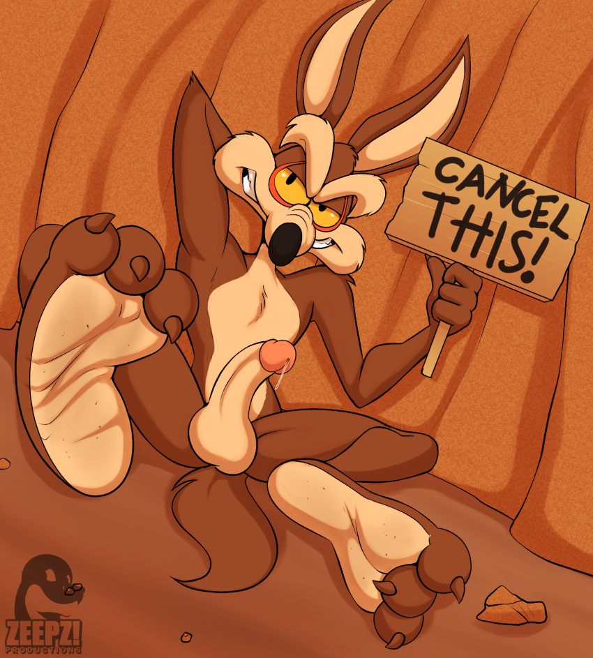 canid canine canis coyote feet genitals hi_res looney_tunes male mammal penis solo warner_brothers wile_e._coyote zp92