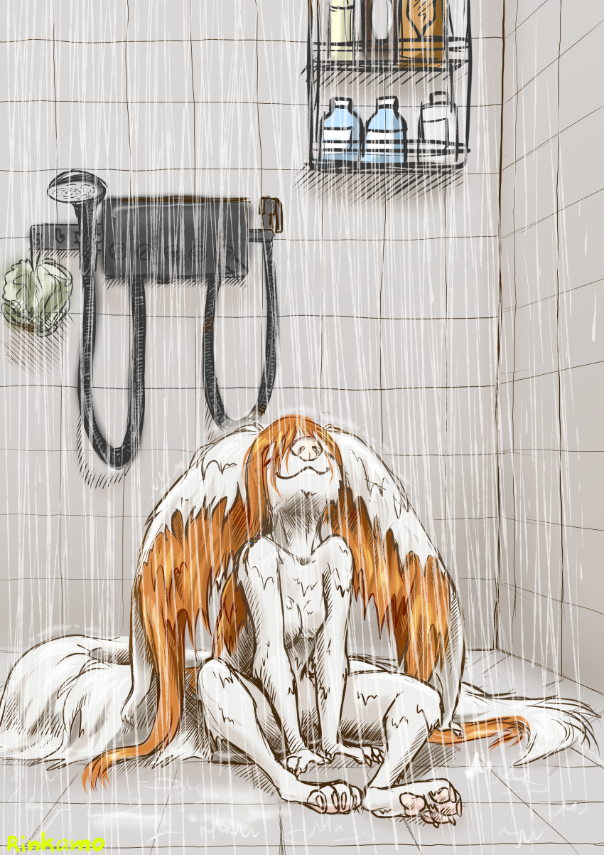 absurd_res anthro asian_mythology canid canine color_sketch digital_media_(artwork) east_asian_mythology english_text eyes_closed female fluffy fluffy_ear fluffy_tail fur hair hengeyokai hi_res japanese_mythology mammal mythology nude orange_hair paws rinkamo rinkamo(oc) rinkamo_(character) shower sketch smile solo tail text water white_body yokai