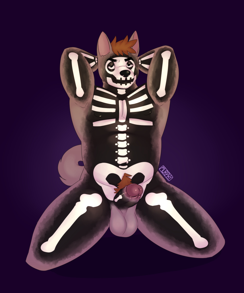 absurd_res animal_humanoid anthro balls bone canid canine canis curled_tail digital_media_(artwork) domestic_dog erection fur genitals grey_body hair halloween halloween_costume hi_res holidays humanoid looking_at_viewer male mammal naughty_cat nipples nude paint penis simple_background skeleton smile solo tail tiler_(naughty_cat)