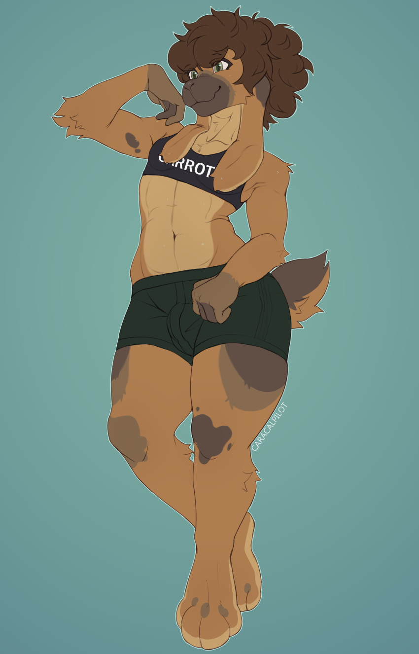 absurd_res anthro bulge clothing crop_top drawing furry furryart furryartist girly hair hi_res invalid_tag lagomorph leporid mammal ponytail rabbit raised_tail shirt sketch tail thick_thighs tight_clothing topwear underwear