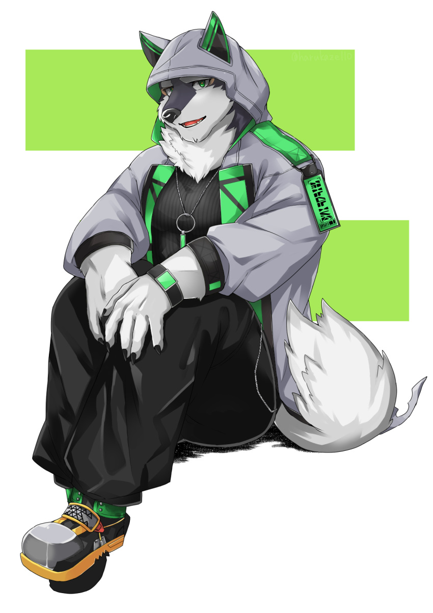 anthro black_and_white_fur canid canine canis domestic_dog green_eyes harukaze110 hi_res hood husky lifewonders live_a_hero long_coat male mammal monomasa muscular muscular_anthro muscular_male nordic_sled_dog solo spitz