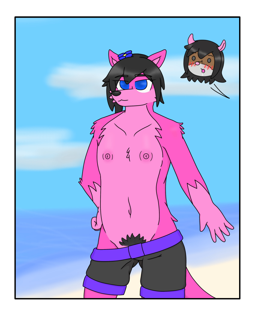absurd_res accessory anthro beach black_clothing black_swimming_trunks black_swimwear brown_hair canid canine canis clothing exhibitionism female female/female female_focus fur hair hair_accessory hi_res mammal mouse murid murine nipples pink_body pink_fur pubes rodent seaside swimming_trunks swimwear tracat wolf