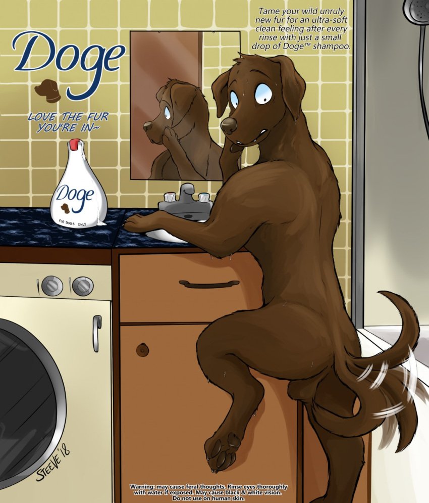 advertisement after_transformation appliance backsack balls bathroom bathtub brown_body brown_fur cabinet canid canine canis domestic_dog english_text feral fur furniture genitals hi_res inside male mammal mirror_selfie motion_lines nervous nervous_sweat nude on_one_leg paw_on_muzzle pawpads paws reflection selfie shampoo shocked shocked_expression sink sinking solo standing stickmanwww tail tail_motion tailwag text