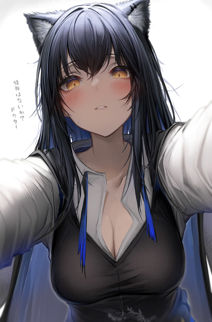 1girl absurdres animal_ears arknights black_hair black_vest blue_necktie blush breasts cleavage commentary_request ear_piercing highres long_hair looking_at_viewer necktie orange_eyes parted_lips piercing reaching reaching_towards_viewer shirt simple_background solo sweat tab_head texas_(arknights) texas_the_omertosa_(arknights) translated undone_necktie upper_body vest white_background white_shirt wolf_ears