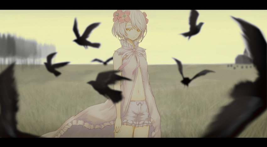 1girl absurdres arms_at_sides bird blurry blurry_background blurry_foreground church closed_mouth colored_eyelashes commentary_request cowboy_shot crow day depth_of_field dress expressionless field film_grain flower frilled_shorts frills grass hair_flower hair_ornament half-closed_eyes high_collar highres kudou_chitose kushinaka letterboxed light_frown looking_at_viewer motion_blur navel neck_ribbon nijisanji outdoors partially_unbuttoned pink_flower pink_ribbon red_pupils ribbon short_hair shorts sky sleeveless sleeveless_dress solo stomach tree virtual_youtuber white_dress white_hair white_shorts wind wind_lift yellow_sky yellow_theme