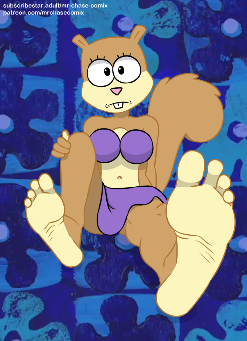 4_toes anthro barefoot feet female foot_fetish hi_res looking_at_viewer mammal mrchasecomix nickelodeon rodent sandy_cheeks sciurid soles solo spongebob_squarepants toes tree_squirrel