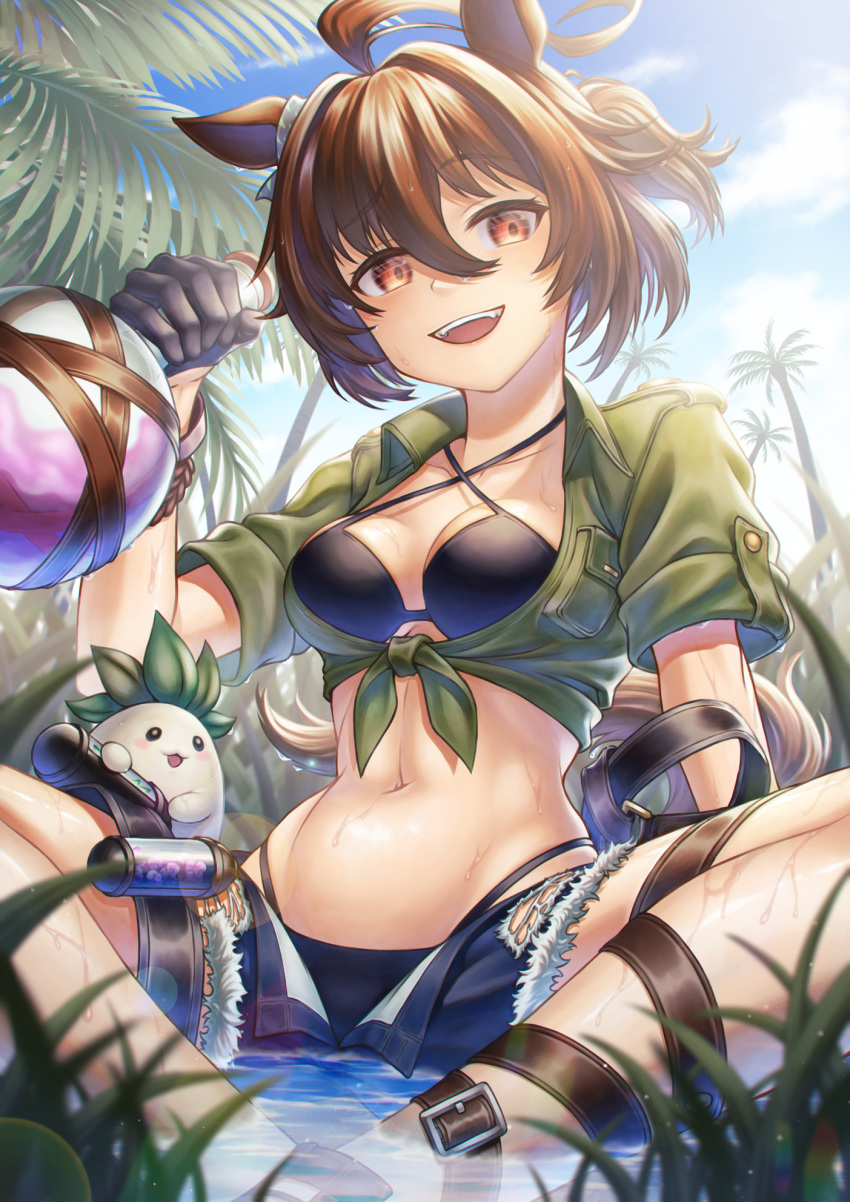 1girl agnes_tachyon_(lunatic_lab)_(umamusume) agnes_tachyon_(umamusume) ahoge animal_ears ankle_belt bikini black_bikini black_gloves blue_shorts blurry blurry_background blurry_foreground blush_stickers breast_pocket brown_eyes brown_hair canister commentary creature criss-cross_halter depth_of_field ear_ornament flask gloves grass green_jacket groin hair_between_eyes halterneck highres holding holding_flask horse_ears horse_girl horse_tail indian_style jacket kii-kun_(agnes_tachyon)_(umamusume) looking_at_viewer mandrake micro_shorts midriff navel official_alternate_costume official_alternate_hairstyle open_clothes open_mouth open_shorts outdoors palm_tree pocket round-bottom_flask ryo_relation short_hair short_ponytail short_sleeves shorts sitting solo_focus spread_legs swimsuit tail teeth thigh_strap tied_jacket torn_clothes torn_shorts tree umamusume upper_teeth_only water wet