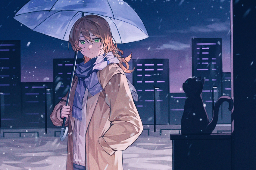 1girl :/ animal black_cat blue_scarf brown_coat building cat chinese_commentary city closed_mouth cloud coat commentary_request daiba_nana fringe_trim gezi_(gezi25889902) green_eyes hair_between_eyes hair_down hand_in_pocket hand_up highres holding holding_umbrella lamppost light_brown_hair long_hair long_sleeves looking_at_another looking_to_the_side night open_clothes open_coat outdoors scarf shirt shoujo_kageki_revue_starlight snow snowing solo standing tail_raised umbrella wavy_hair white_shirt winter