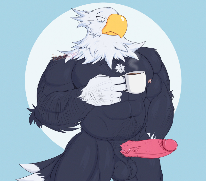 2023 5_fingers abs absurd_res animal_crossing anthro apollo_(animal_crossing) balls biped colored digital_drawing_(artwork) digital_media_(artwork) erection feathers fingers fur genitals hi_res holding_mug holding_object humanoid_genitalia humanoid_penis isaacyote_(artist) male mug muscular muscular_anthro muscular_male navel nintendo nipples penis simple_background