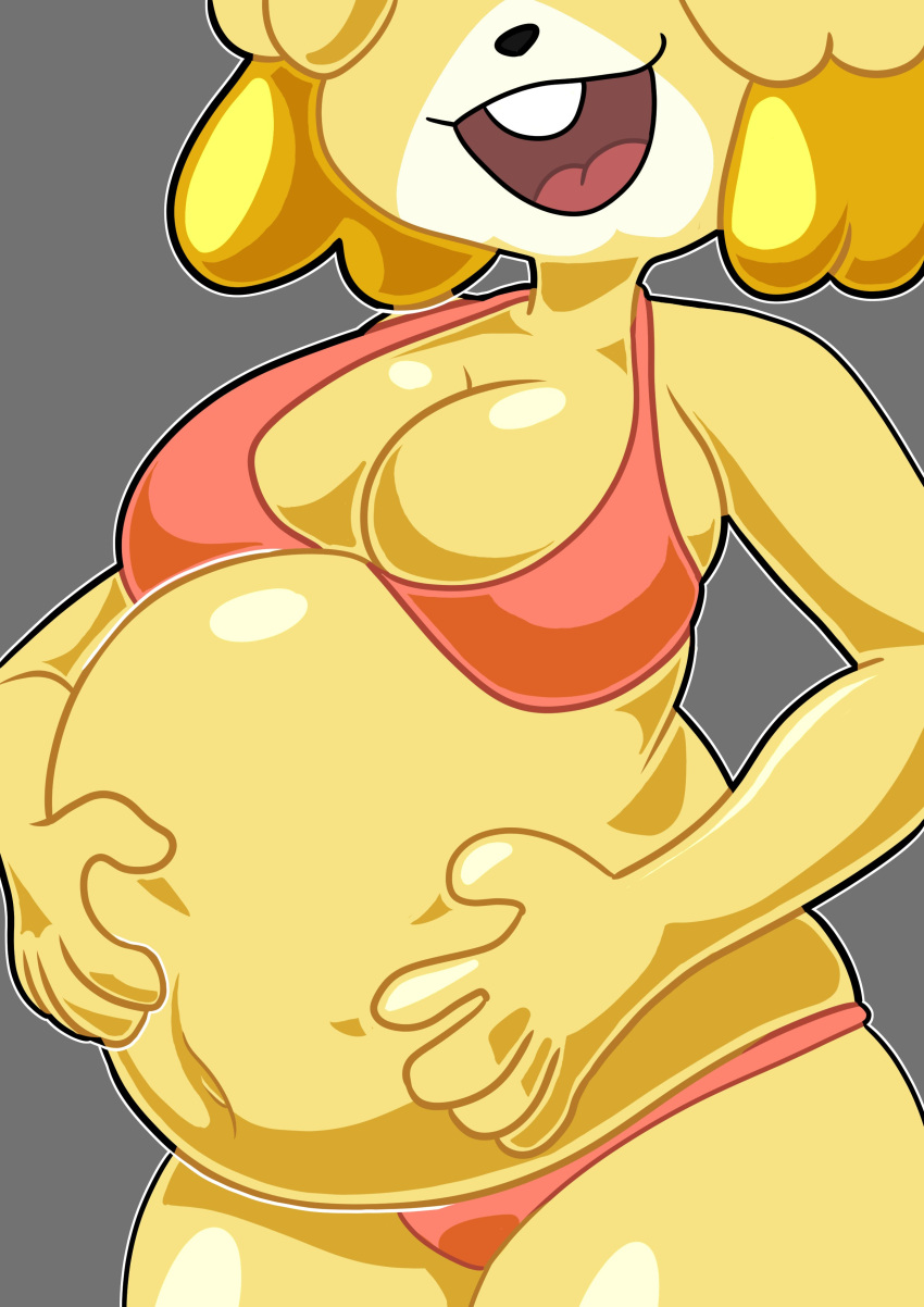 absurd_res animal_crossing anthro belly belly_focus big_belly big_breasts bikini bloated breasts canid canine canis clothing digital_media_(artwork) domestic_dog female hand_on_own_belly hi_res isabelle_(animal_crossing) mammal navel nintendo open_mouth open_smile shih_tzu smile solo strawberrywith4 swimwear torso_shot toy_dog yellow_body