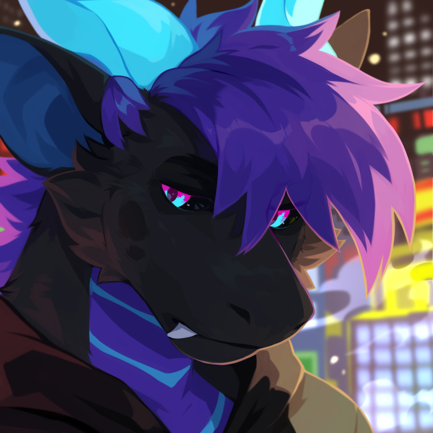 1:1 absurd_res anthro black_body black_clothing black_fur black_jacket black_sclera black_topwear blue_body blue_eyes blue_horn blue_scales blurred_background bust_portrait cheek_tuft clothed clothing corzh77 dragon facial_tuft fangs fur furred_dragon hair hi_res horn jacket looking_at_viewer male mouth_closed multicolored_eyes pink_eyes portrait purple_hair scales short_hair solo teeth topwear tuft two_tone_eyes