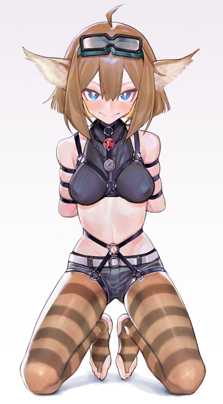 1girl absurdres aciddrop_(arknights) ahoge animal_ears arknights ball ball_gag bdsm blue_eyes bondage bound bound_arms breasts bridal_legwear bright_pupils brown_hair full_body gag gag_around_neck goggles goggles_on_head harness highres kneeling looking_at_viewer medium_breasts pantyhose saaal653 second-party_source short_hair short_shorts shorts skindentation solo stirrup_legwear striped striped_pantyhose toeless_legwear unworn_gag variant_set white_pupils wiffle_gag