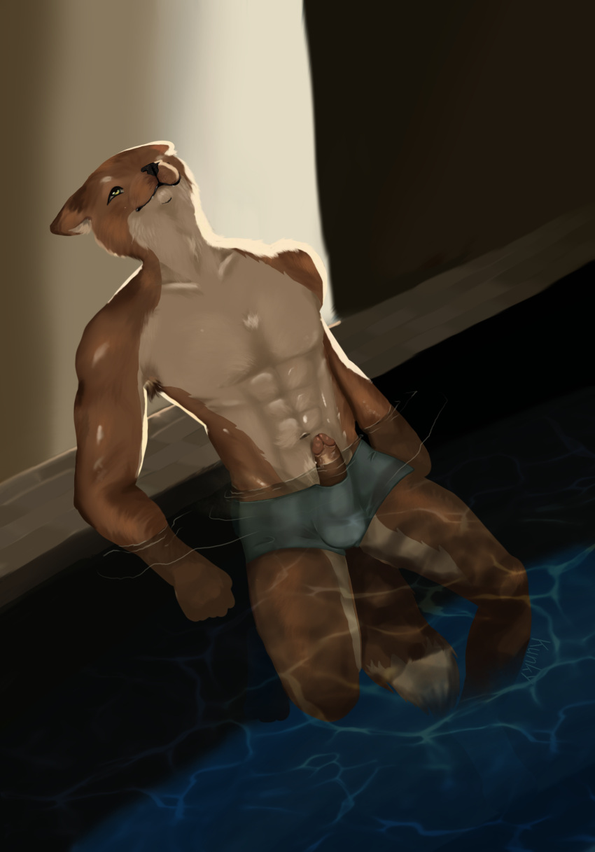 abs andromorph anthro balls balls_outline briefs canid canine clothed clothing erection erection_under_clothing fox foxtail fur genital_outline genitals hi_res inner_ear_fluff intersex kunky male male/male mammal muscular muscular_anthro muscular_male penis pool red_body red_fur solo tail teeth tenting thighs tuft underwear water wet wet_clothing white_body white_fur