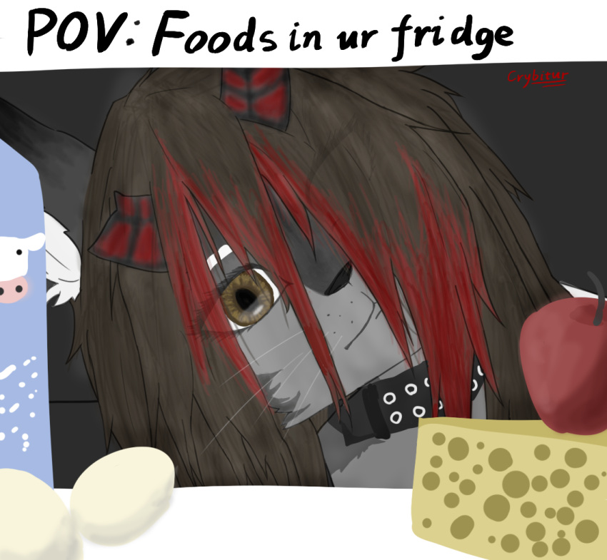 anthro apple appliance black_hair broken_horn brown_eyes canid canine canis cheese clothed clothing collar crybitur dairy_products domestic_cat egg english_text felid feline felis female first_person_view food fridge fruit fur grey_body grey_fur hair horn hybrid inside kitchen_appliance looking_at_viewer mammal meme milk plant red_hair red_horn simple_background solo suwyzid text wolf