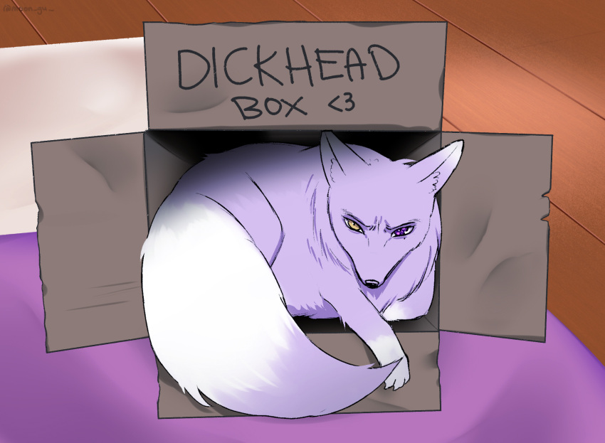 ambiguous_gender angry box canid canine cardboard cardboard_box container feral feralized fluffy fluffy_tail fox fur heterochromia hi_res humor in_box in_container inner_ear_fluff kuya_(nu:_carnival) mammal moon-gu nu:_carnival paws prick_ears purple_body purple_fur solo tail tuft