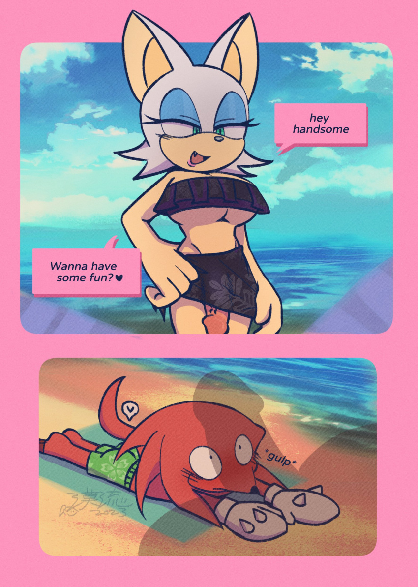 absurd_res anthro beach biped blush breasts clothing crossgender dialogue duo english_text erection genitals gynomorph hi_res intersex intersex/male knuckles_the_echidna male molu9818 penis penis_under_skirt rouge_the_bat seaside sega sonic_the_hedgehog_(series) speech_bubble swimwear text under_boob