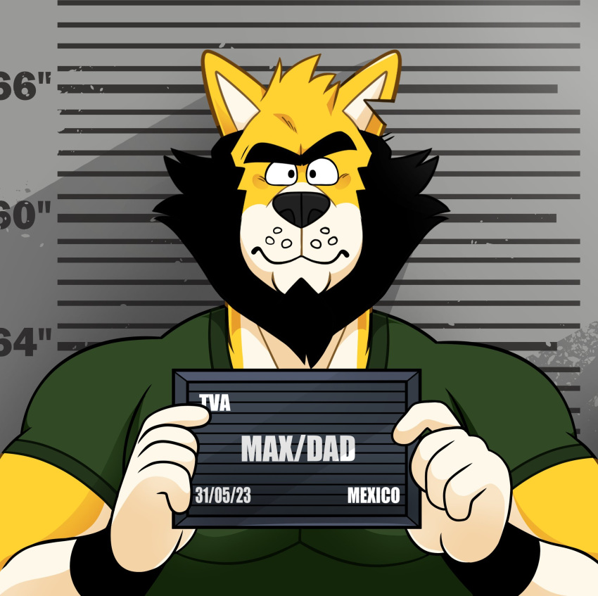 2023 anthro barbie_and_ken_mugshot_meme beard canid canine canis clothing digital_media_(artwork) eyebrows facial_hair father fur hi_res holding_object looking_at_viewer male mammal max_(starhaps) meme mugshot muscular muscular_anthro muscular_male notched_ear nthestarhaps0 parent shirt solo tan_body tan_fur text topwear unibrow wolf yellow_body yellow_fur