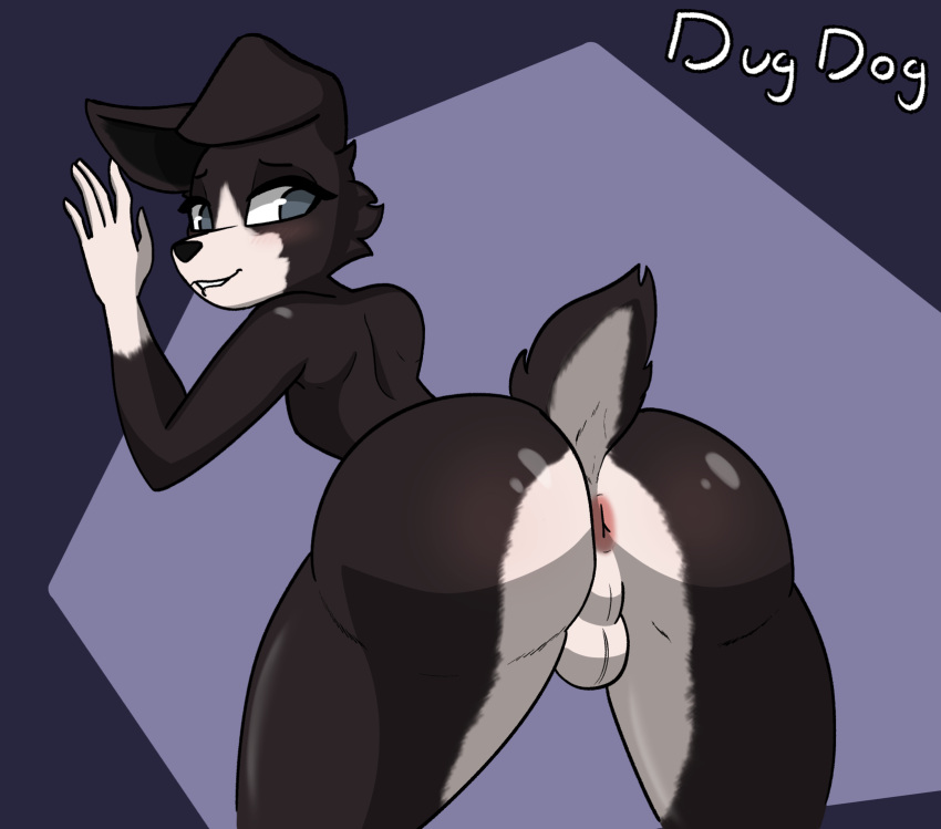 anthro anus backsack balls bedroom_eyes bent_over big_butt bite biting_lip black_body black_fur blue_eyes blush border_collie butt canid canine canis collie digital_media_(artwork) domestic_dog doug_(dugdog) dugdog fur genitals girly hair herding_dog hi_res male mammal multicolored_body multicolored_fur narrowed_eyes nude pastoral_dog presenting presenting_anus presenting_hindquarters rear_view seductive sheepdog signature simple_background solo solo_focus tail white_body white_fur