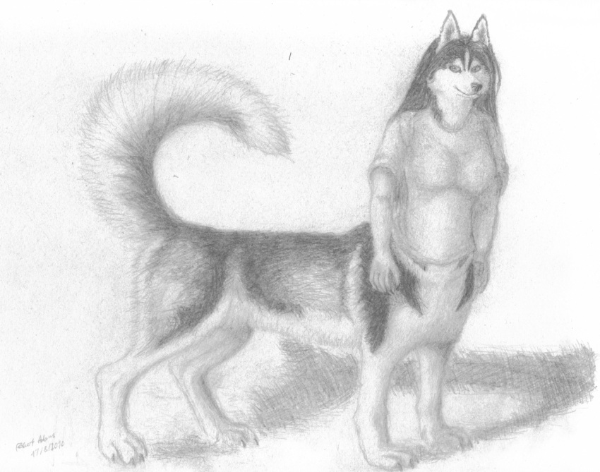 2010 5_fingers bottomless bottomless_female bottomless_taur breasts canid canid_taur canine canine_taur canis chukchi_husky clothed clothing countershade_face countershade_tail countershade_torso countershading digitigrade dog_taur domestic_dog female fingers fluffy fluffy_tail full-length_portrait graphite_(artwork) hair herm_(lore) husky husky_taur looking_at_viewer mammal mammal_taur monochrome nordic_sled_dog pencil_(artwork) portrait quadruped shaded shadow soft_shading solo spitz standing tail taur topwear topwear_only traditional_media_(artwork)