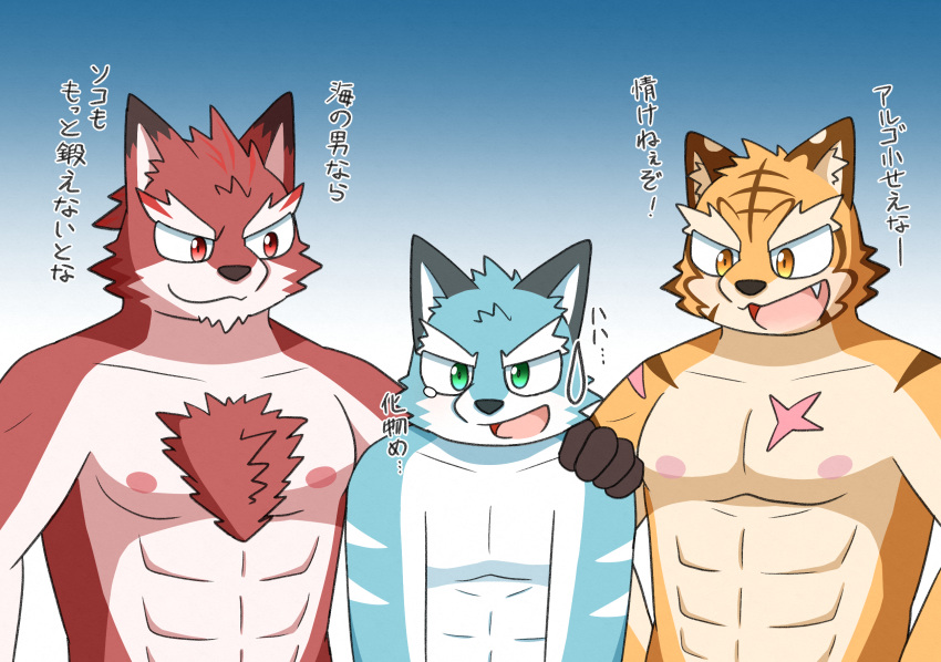 anthro argo_(knights_college) bodily_fluids canid canine canis clr_393 diederich_olsen_(knights_college) felid feline grantly group hand_on_shoulder hi_res humanoid japanese_text kemono knights_college male mammal markings pantherine scar striped_markings stripes sweat sweatdrop text tiger translation_request trio visual_novel wolf