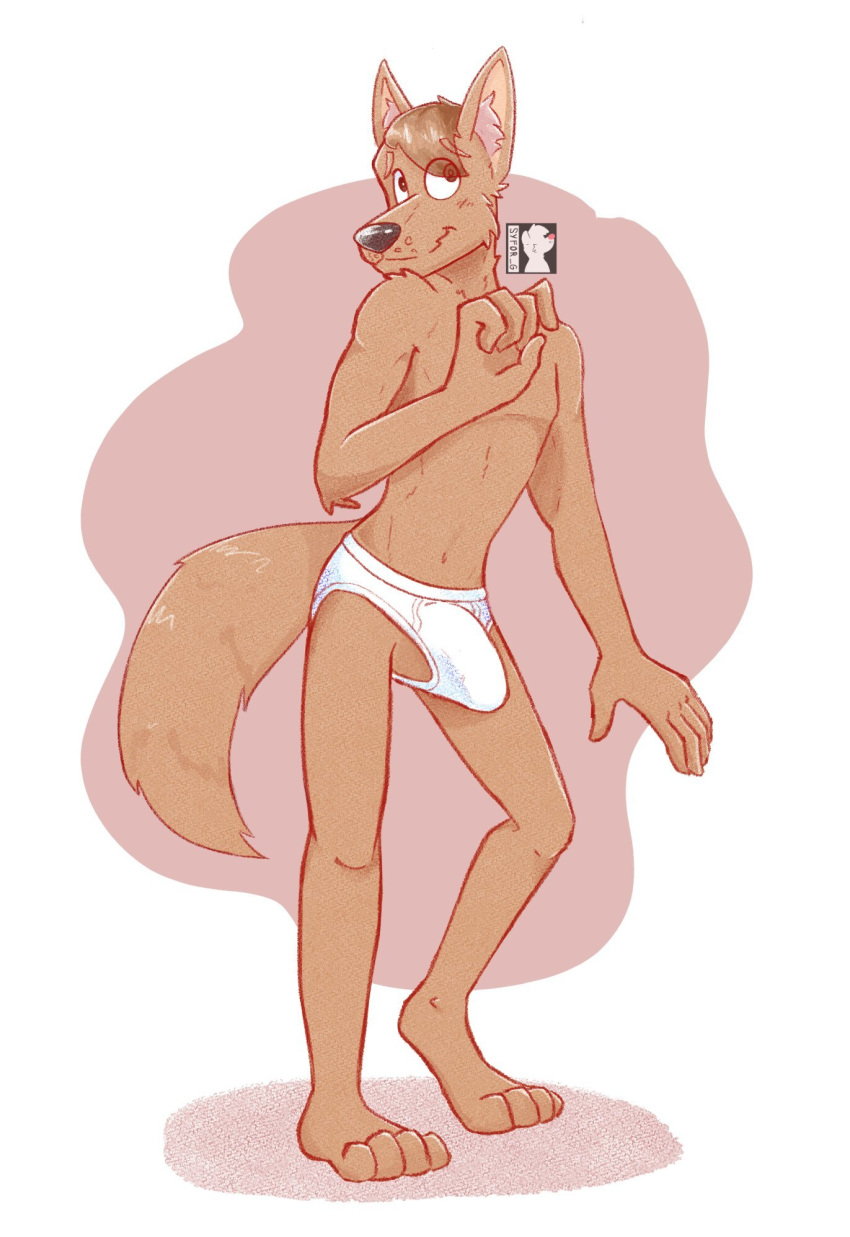 anthro barefoot black_nose briefs brown_body brown_eyes brown_fur brown_hair canid canine canis clothed clothing detailed_background erection_in_underwear erection_under_briefs feet fur girly hair hair_over_eyes hi_res jet_(furrytypist) male mammal navel signature smile solo syforg tighty_whities topless underwear white_briefs white_clothing white_underwear wolf