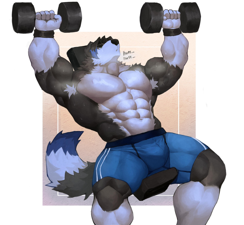 absurd_res anthro blue_clothing border_collie bulge canid canine canis clothing collie domestic_dog herding_dog hi_res male mammal mason_(trivolmckenley) muscular muscular_male pastoral_dog sheepdog solo training weights