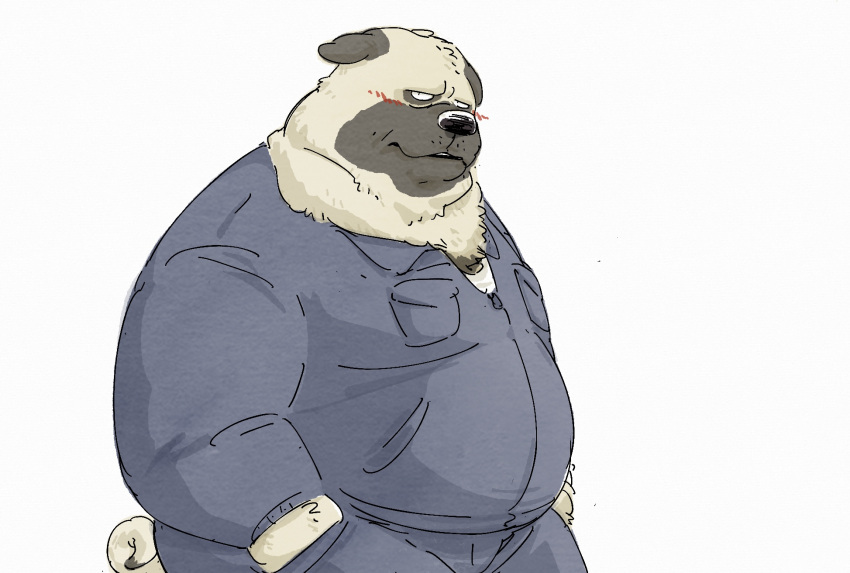 2023 anthro belly black_nose blush bottomwear canid canine canis clothing domestic_dog hi_res kemono male mammal overweight overweight_male pants pommn_mn shirt simple_background solo topwear white_background