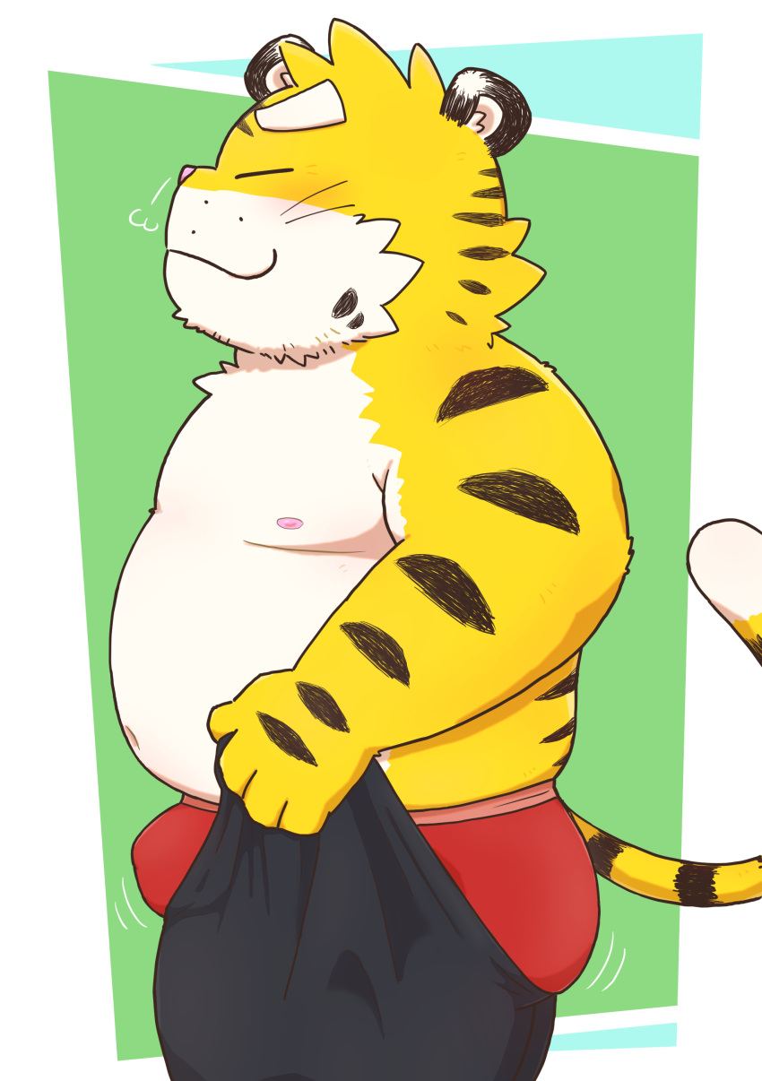 2023 absurd_res anthro belly blush bottomwear bulge clothing eyes_closed felid gensuke hi_res kemono male mammal meme moobs nipples overweight overweight_male pantherine pants pink_nose solo tiger tight_pants_(meme) underwear