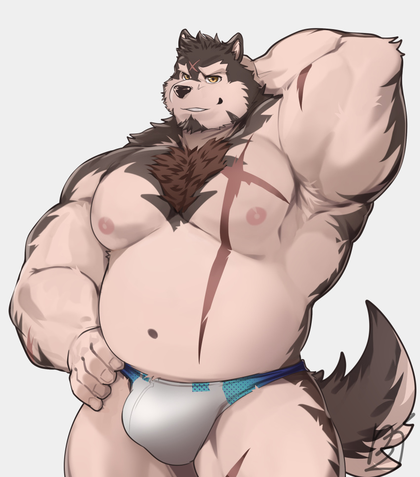 absurd_res another_eidos_of_dragon_vein_r anthro barazoku billford bladetiger bladetiger_art brown_body brown_fur canid canine canis chest_tuft clothing digital_media_(artwork) fur hi_res male mammal muscular_arms navel nipples pecs pink_nipples raised_arm scar smile smirk solo tan_body tan_fur thong tuft underwear wolf yellow_eyes