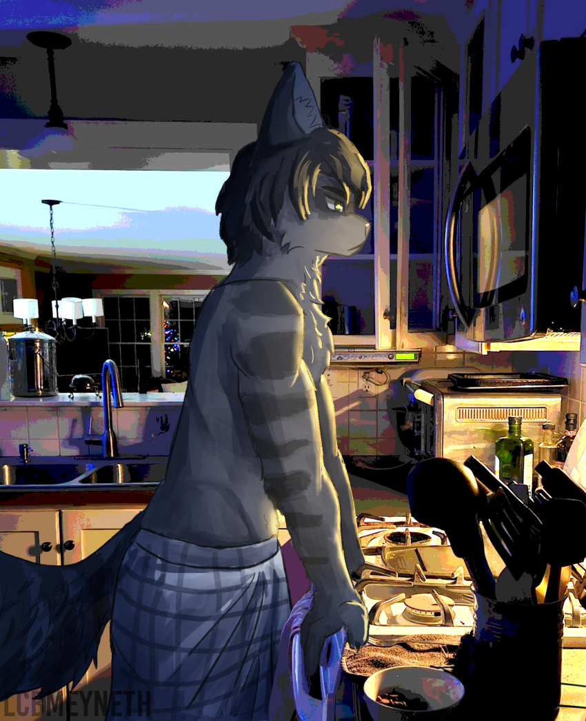 anthro appliance clothed clothing domestic_cat felid feline felis fur green_eyes grey_body grey_fur hi_res kitchen_appliance lcb_meyneth maine_coon male mammal microwave_oven oven pajama_pants pajamas photo_background photography_(artwork) sink solo stove tagme toaster topless topless_anthro