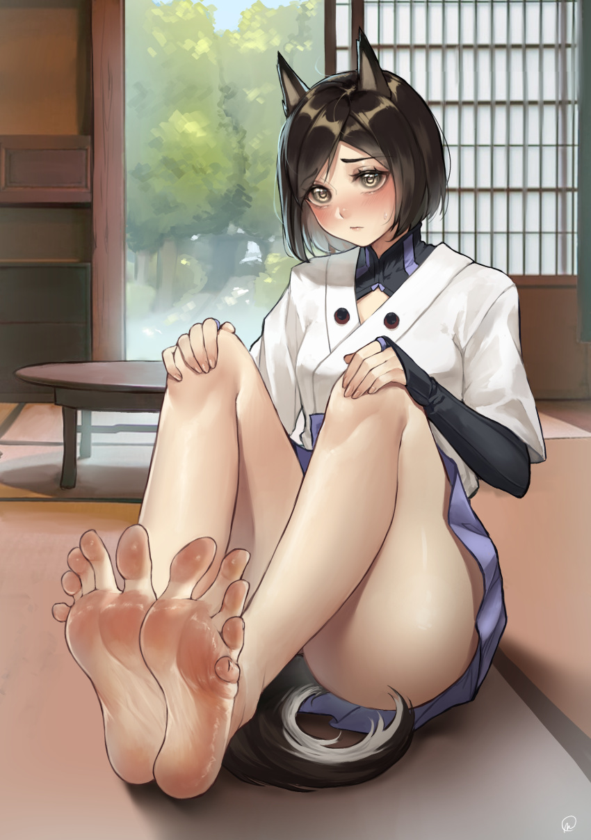 1girl absurdres animal_ears architecture barefoot black_gloves blue_skirt blush breasts brown_hair closed_mouth commentary commission convenient_leg dog_ears dog_girl dog_tail east_asian_architecture elbow_gloves embarrassed english_commentary eyelashes feet fingerless_gloves foot_focus full_body gloves greek_toe grey_eyes hakama hakama_short_skirt hakama_skirt hands_on_own_knees highres indoors japanese_clothes knees_up kuroda_kunika legs looking_at_viewer medium_hair nikishiko parted_bangs pixiv_commission pleated_skirt shadow short_sleeves sidelocks sitting skirt small_breasts soles solo spread_toes sweatdrop table tail thighs toenails toes tree world_witches_series