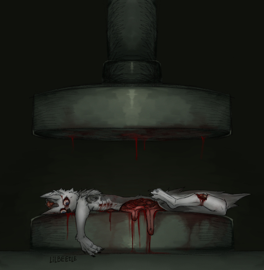 anthro blood bodily_fluids brain canid canine canis corpse death flesh gore guts gutted hi_res killing lil_beetle male mammal organs snuff solo solo_focus wolf