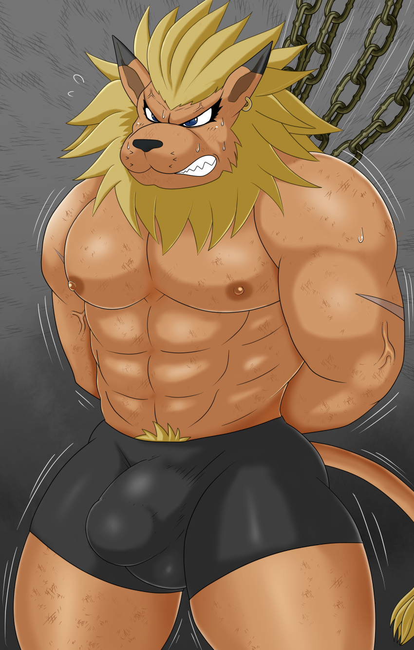 abs absurd_res anthro bandai_namco bantau bdsm blonde_hair blush bound bulge clenched_teeth clothing detailed_bulge digimon digimon_(species) hair hi_res leomon male mane muscular muscular_anthro muscular_male pecs scuff_marks solo teeth underwear